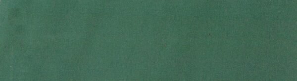 6101 G+系列6206 100%Solution Dyed polyester fabric
