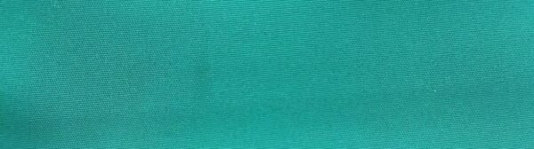 6102 G+系列6206 100%Solution Dyed polyester fabric