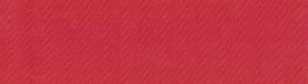 6104 G+系列6206 100%Solution Dyed polyester fabric