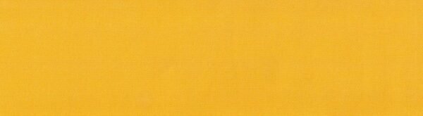 6110 G+系列6206 100%Solution Dyed polyester fabric