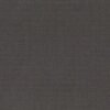 6116 G+系列6206 100%Solution Dyed polyester fabric