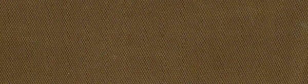 6121棕色 G+系列6206 100%Solution Dyed polyester fabric