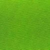 6122青草绿 G+系列6206 100%Solution Dyed polyester fabric