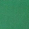 6123浅草绿 G+系列6206 100%Solution Dyed polyester fabric