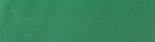 6123浅草绿 G+系列6206 100%Solution Dyed polyester fabric