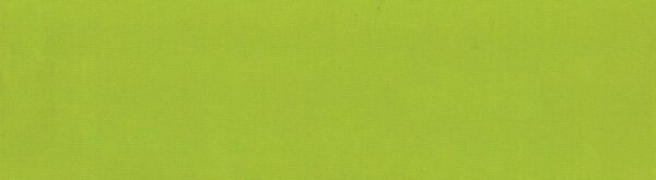 6126 G+系列6206 100%Solution Dyed polyester fabric