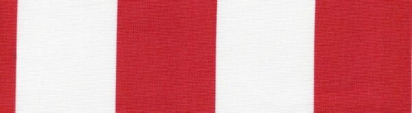 6201 G+系列6206 100%Solution Dyed polyester fabric