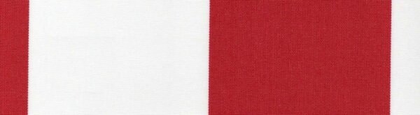 6205 G+系列6206 100%Solution Dyed polyester fabric