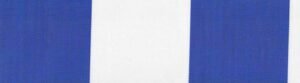 6206 G+系列6206 100%Solution Dyed polyester fabric