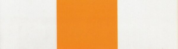 6208 G+系列6206 100%Solution Dyed polyester fabric