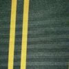 6301 G+系列6206 100%Solution Dyed polyester fabric