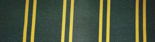 6301 G+系列6206 100%Solution Dyed polyester fabric