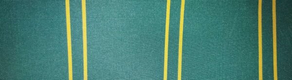 6302 G+系列6206 100%Solution Dyed polyester fabric