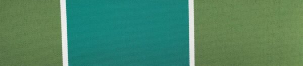 6303 G+系列6206 100%Solution Dyed polyester fabric