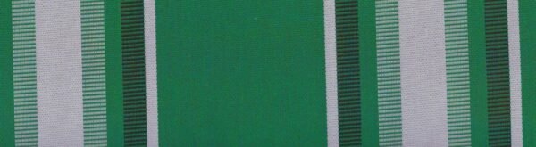 6304 G+系列6206 100%Solution Dyed polyester fabric