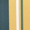 6305 G+系列6206 100%Solution Dyed polyester fabric