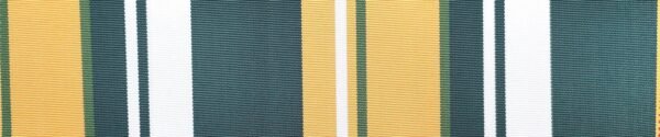 6305 G+系列6206 100%Solution Dyed polyester fabric