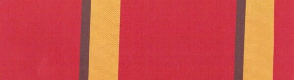 6306 G+系列6206 100%Solution Dyed polyester fabric