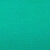 6311 G+系列6206 100%Solution Dyed polyester fabric