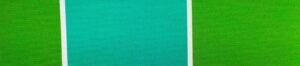 6311 G+系列6311 100%Solution Dyed polyester fabric