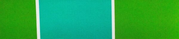 6311 G+系列6206 100%Solution Dyed polyester fabric